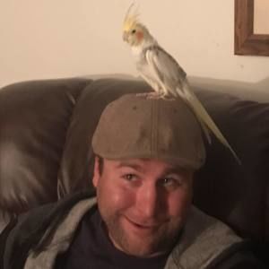 Meet your Posher, Denis